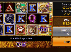 Play Cats Free Slot Game