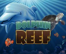 Dolphin Reef