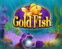 Gold Fish