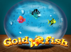 Gold Fish Casino Game WMS