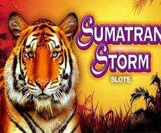 Sumatran Storm
