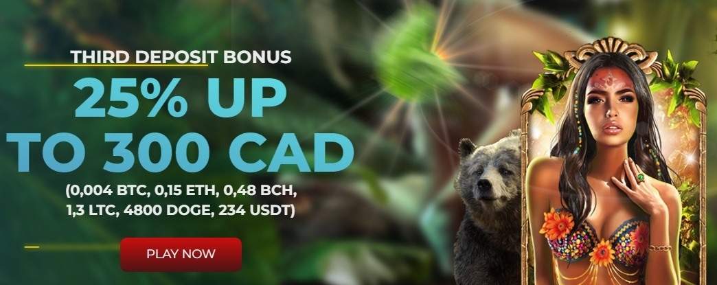 Casino 4u Third Deposit bonus top canadian casinos