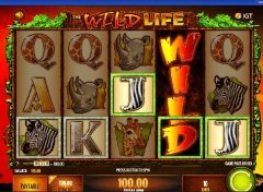 Wild Life Slot Wild Symbol